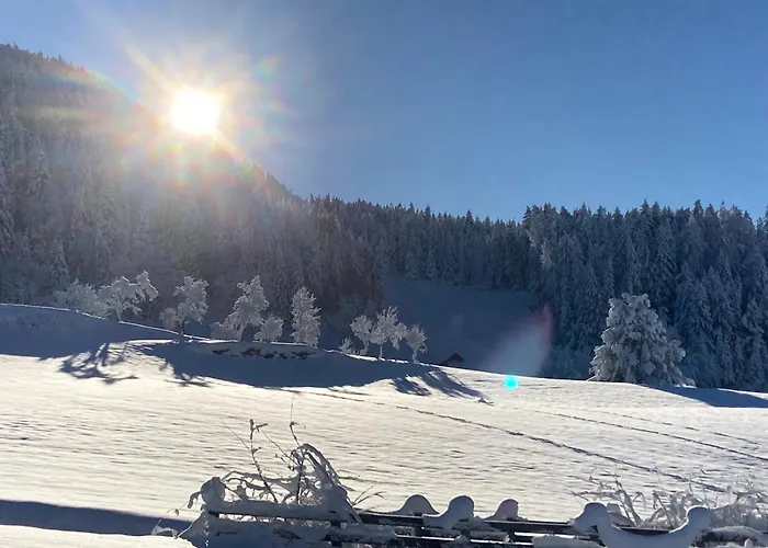 Daire Bergliebe Pitztal